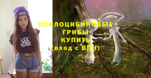 мет Заполярный