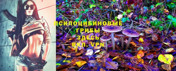 эйфоретик Краснотурьинск
