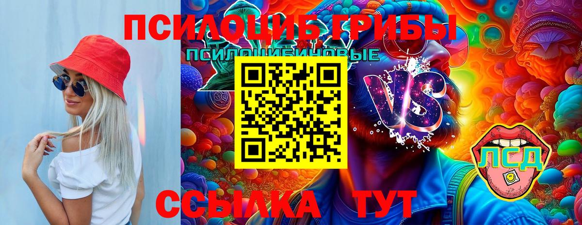 Псилоцибиновые грибы прущие грибы  Вход с VPN  Лыткарино  Псилоцибиновые грибы Psilocybe 