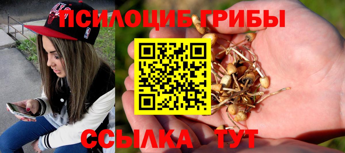 Галлюциногенные грибы прущие грибы Лыткарино
